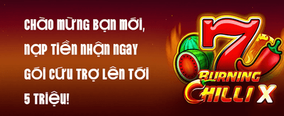Hoàn Trả Hàng Ngày promotion